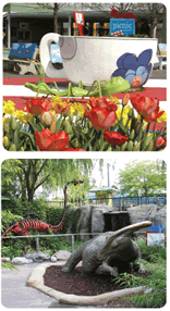 Picnic Garden Teacup & Dino Garden