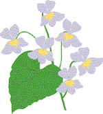 Visitors playing in the Violet Plaza